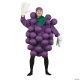 Morris GRAPES PURPLE ADULT COSTUME