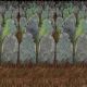 Morris GRAVEYARD BACKDROP