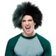 Morris GREEN AND BLACK SPORTS WIG