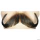 Morris HANDLEBAR MUSTACHE