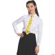 Morris HUFFLEPUFF TIE-ADULT