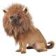 Morris KING OF JUNGLE DOG COSTUME MD