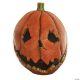 Morris LAST NIGHT PUMPKIN LATEX MASK TB26812