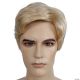 Morris MENS BARGAIN WIG