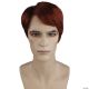 Morris MENS WIG WITH SIDE PART