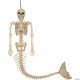 Morris MERMAID SKELETON DECORATION SEW81272