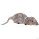 Morris MICE  SS88738