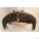 Morris MUSTACHE-MD BRWN