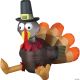 Morris OUTDOOR PILGRIM TURKEY AIRBLOWN