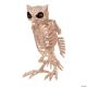 Morris OWL SKELETON DECORATION