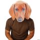 Morris PETS LIFE DOG MASK