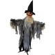 Morris PUMPKIN ANIMATED W HAT