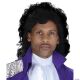 Morris PURPLE POP STAR WIG
