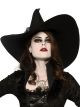 Rubies Womens Witches Hat, Multicolor, One Size