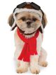 Pet Aviator Hat And Scarf Set, Small/Medium