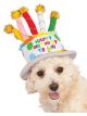 Birthday Cake Hat For Pet, Small/Medium