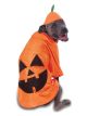 Rubies Costume Co Big Dogs Pumpkin Pet Costume, Xx-Large