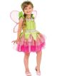 Rubies Costume Spring Fairy Value Child Costume, X-Small