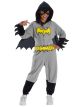 Girls Dc Super Heroes Batgirl Onesie (Medium)