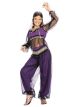 Rubies Harem Princess Childs Costume, Large