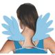 Morris RAINBOW DASH ADULT WINGS