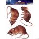 Morris RAT WINDOW CLING