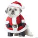 Morris SANTA PAWS DOG MD
