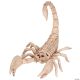 Morris SCORPION SKELETON