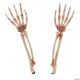 Morris SKELETON ARM GRAVE BREAKERS
