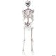 Morris SKELETON POSE AND HOLD DECORATION
