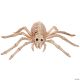 Morris SKELETON SPIDER SE18215