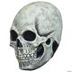 Morris SKULL GLOW