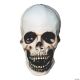 Morris SKULL