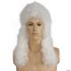 Morris SPECIAL BARGAIN JUDGE WIG