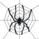Morris SPIDER WEB WITH SPIDER