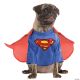 Morris SUPERMAN PET COSTUME RU887871