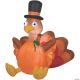 Morris TURKEY PUMPKIN AIRBLOWN