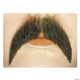Morris WALRUS MUSTACHE LIGHT CHESTNUT