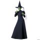 Morris WICKED WITCH ADULT LARGE