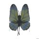 Morris WINGS BUTTERFLY YELLOW GRN