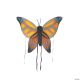 Morris WINGS CHILD BUTTERFLY ORNGE