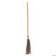 Morris WITCH BROOM MR122642