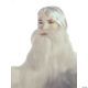 Morris WIZARD BEARD AND WIG SET-WHITE