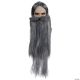 Morris WIZARD WIG AND BEARD SET GY
