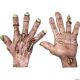 Morris ZOMBIE FLESH LATEX HANDS
