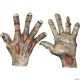 Morris ZOMBIE ROTTED LATEX HANDS