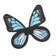 Morris WINGS BUTTERFLY SATIN CH BLUE/