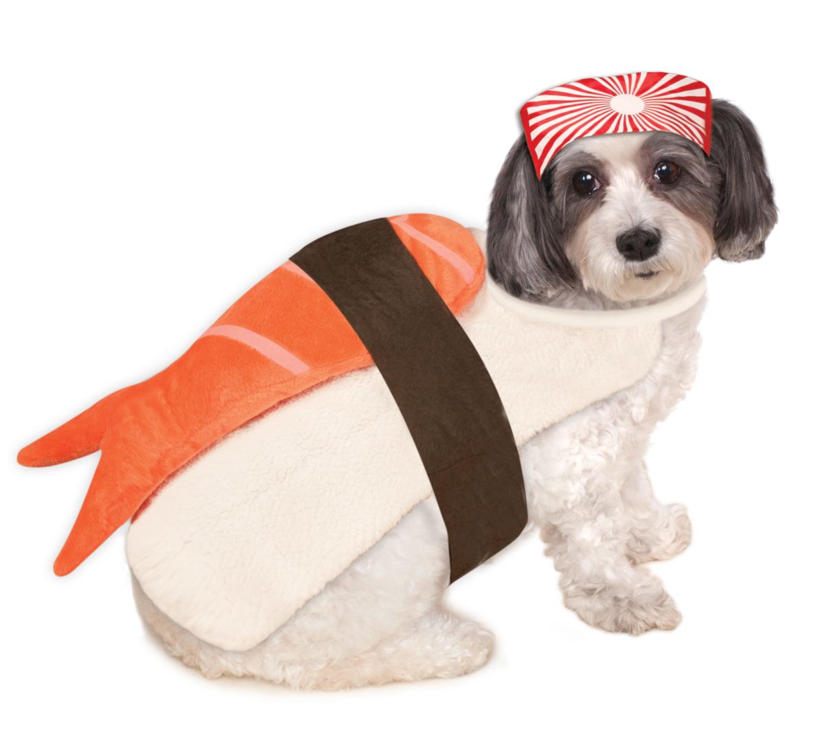 Sushi Pet Costume Meduim