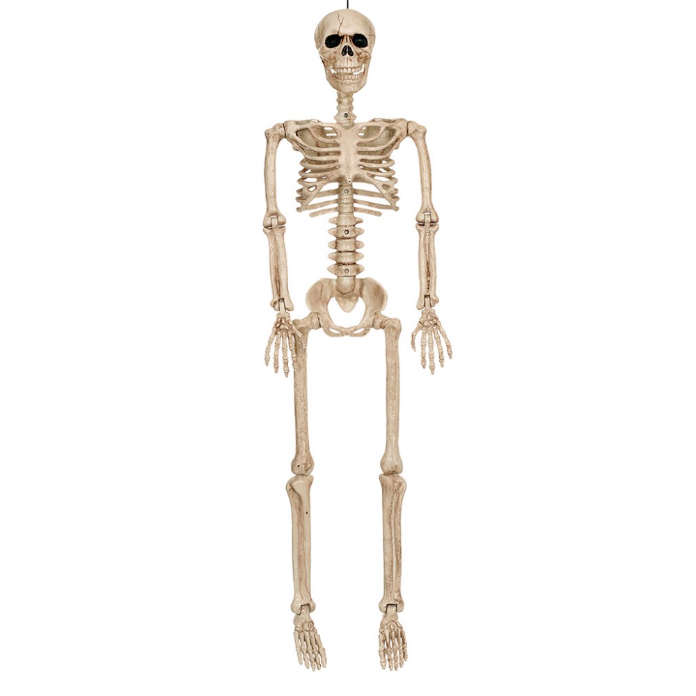 Seasons Crazy Bonez Posable Skeleton Decoration, 36