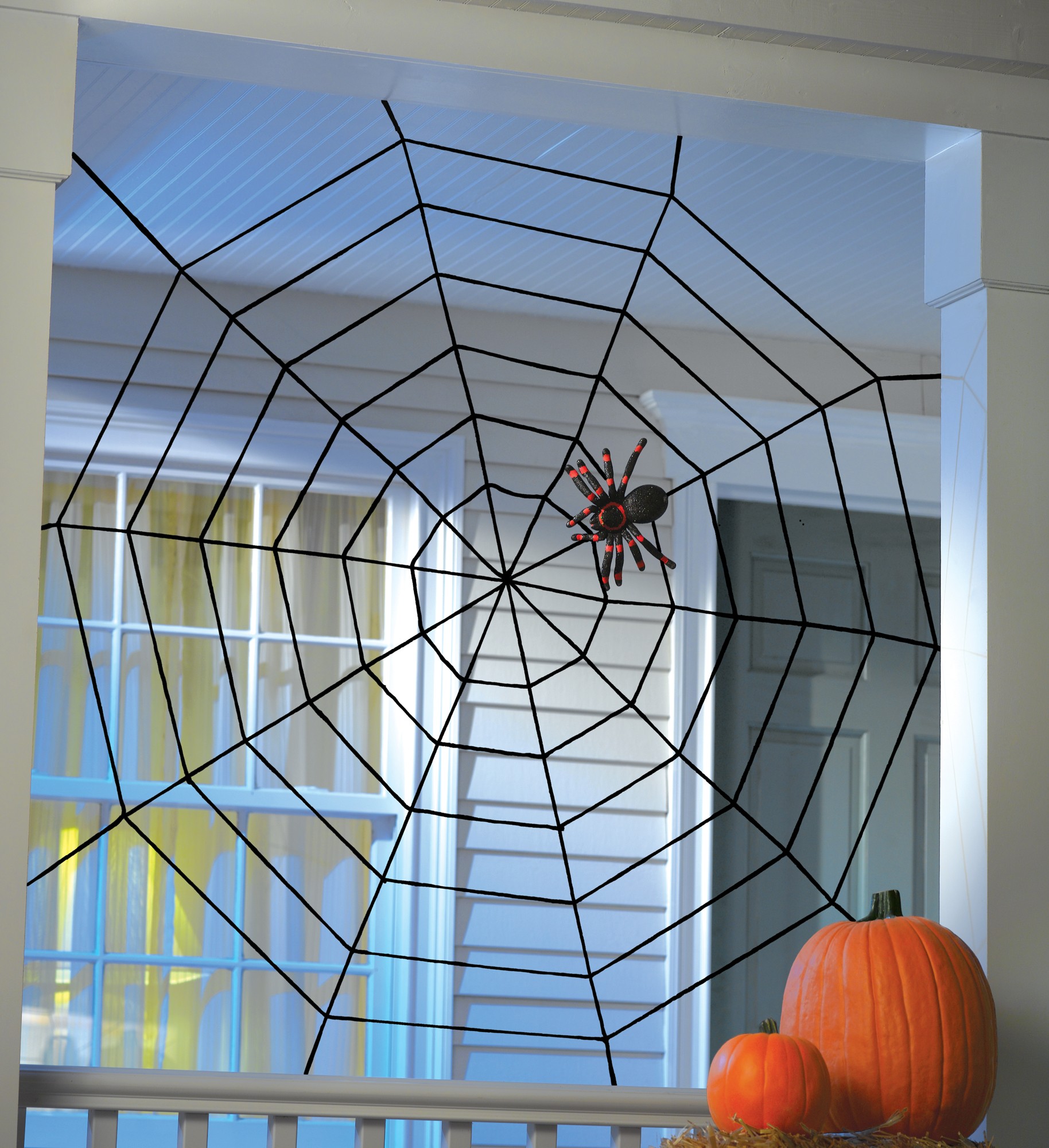 Fun World 5 feet Black Window Rope Spider Web